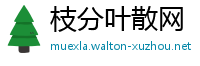 枝分叶散网